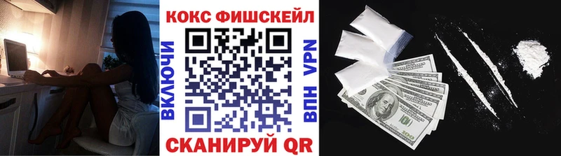Купить закладки  Кизилюрт  Cocaine Эквадор 