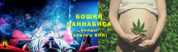 PSILOCYBIN Гусев