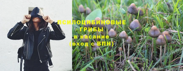 PSILOCYBIN Гусев