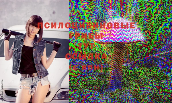 гашиш Гусиноозёрск