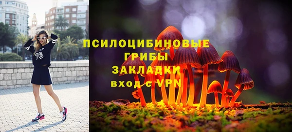 PSILOCYBIN Гусев