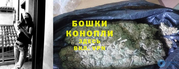 PSILOCYBIN Гусев