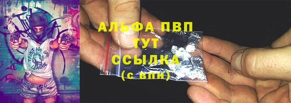 PSILOCYBIN Гусев