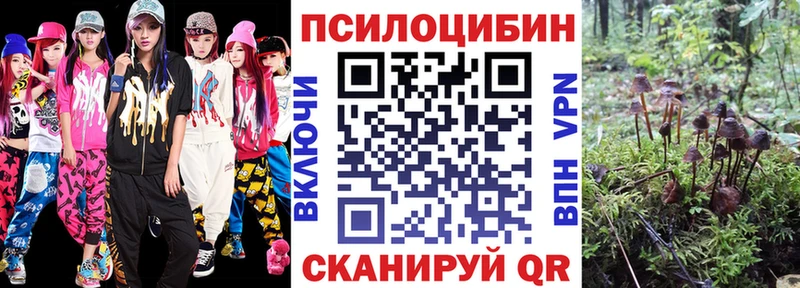 Купить  Кизилюрт  Галлюциногенные грибы Psilocybe 